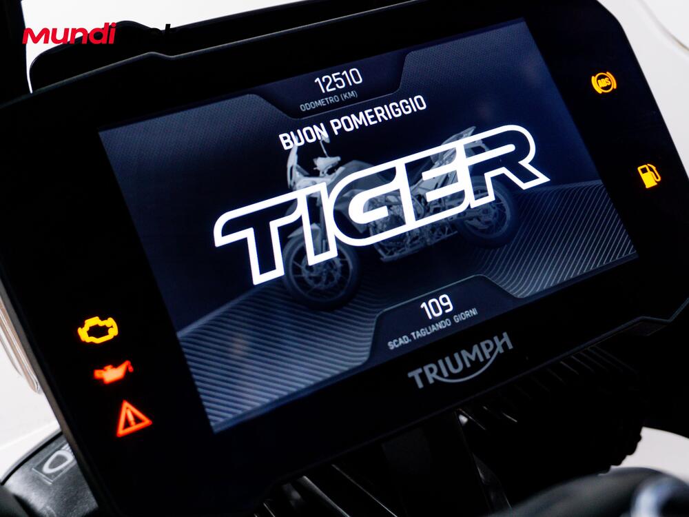 Triumph Tiger 900 GT Pro (2020 - 23) (12)