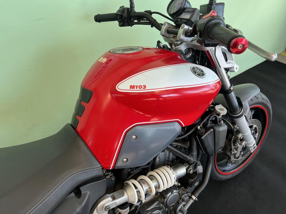 Yamaha MT-03 (2006 - 14) (11)