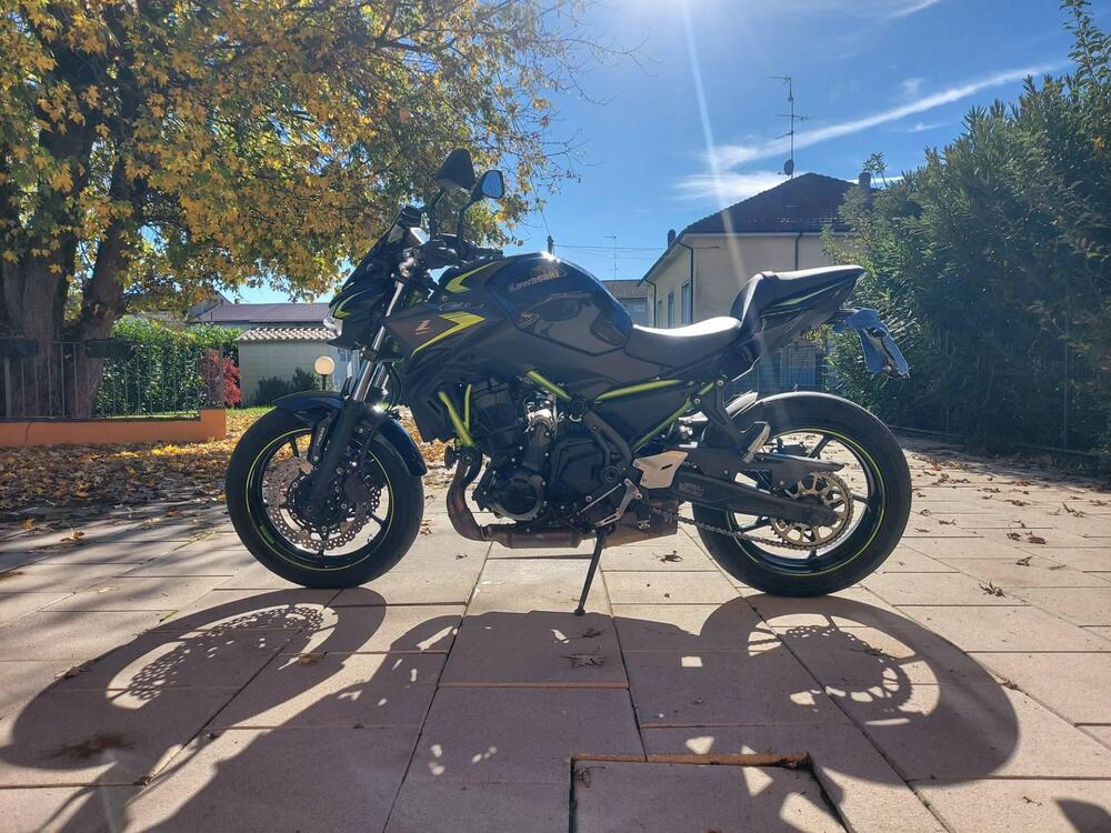 Kawasaki Z 650 (2021 - 24)
