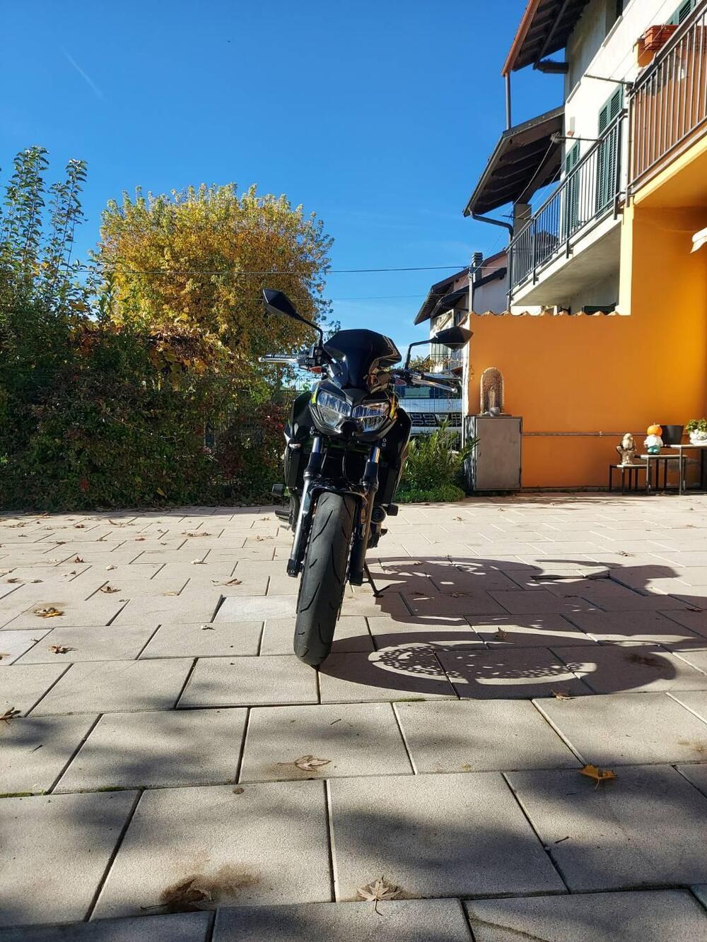 Kawasaki Z 650 (2021 - 24) (2)