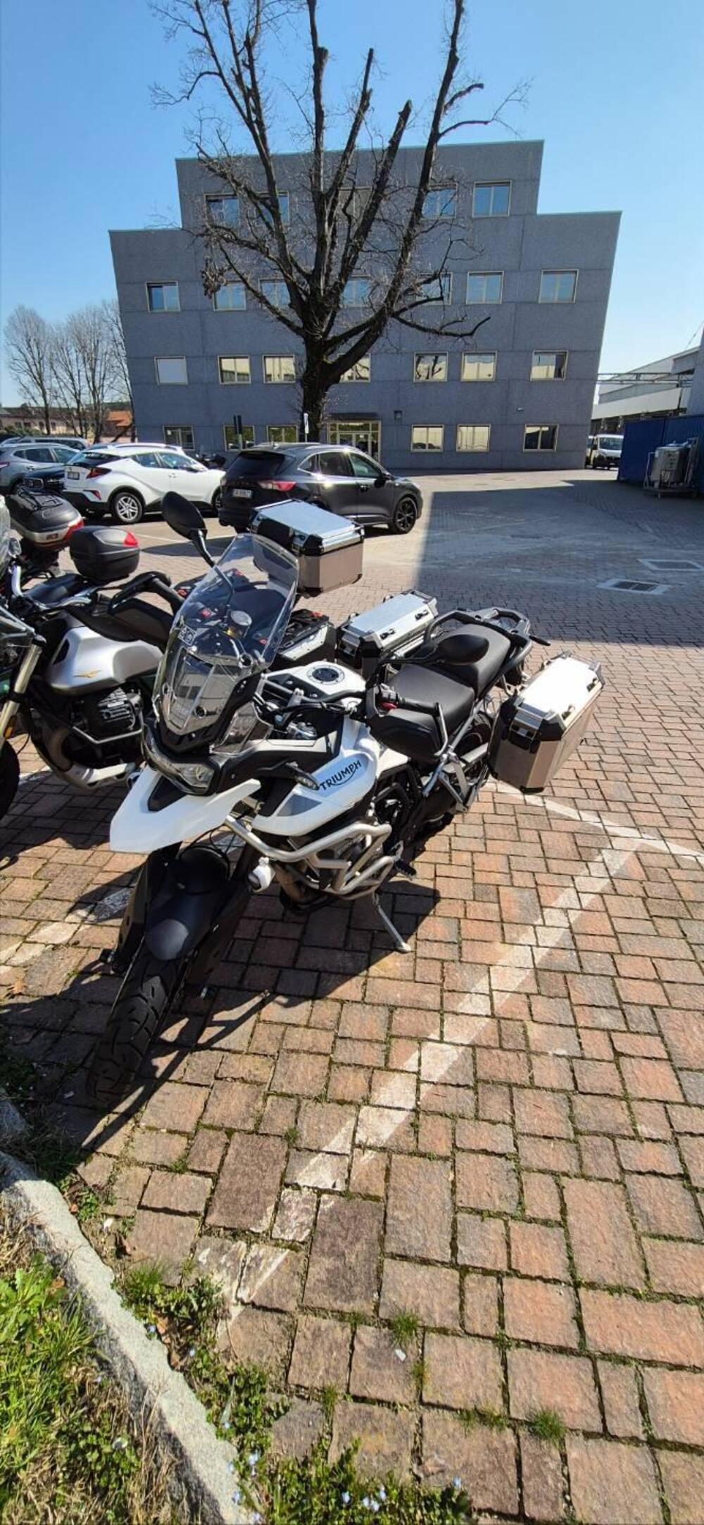 Triumph Tiger 900 GT Pro (2020 - 23) (16)