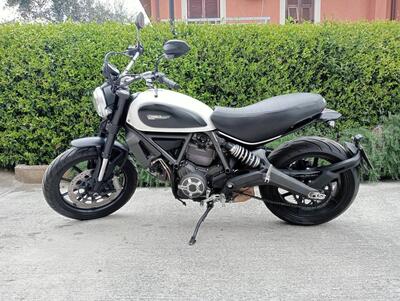 Ducati Scrambler 800 Icon (2015 - 16) usata