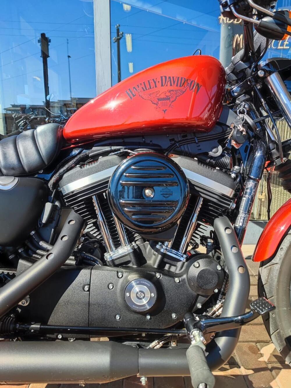 Harley-Davidson 883 Iron (2017 - 20) - XL 883N (3)