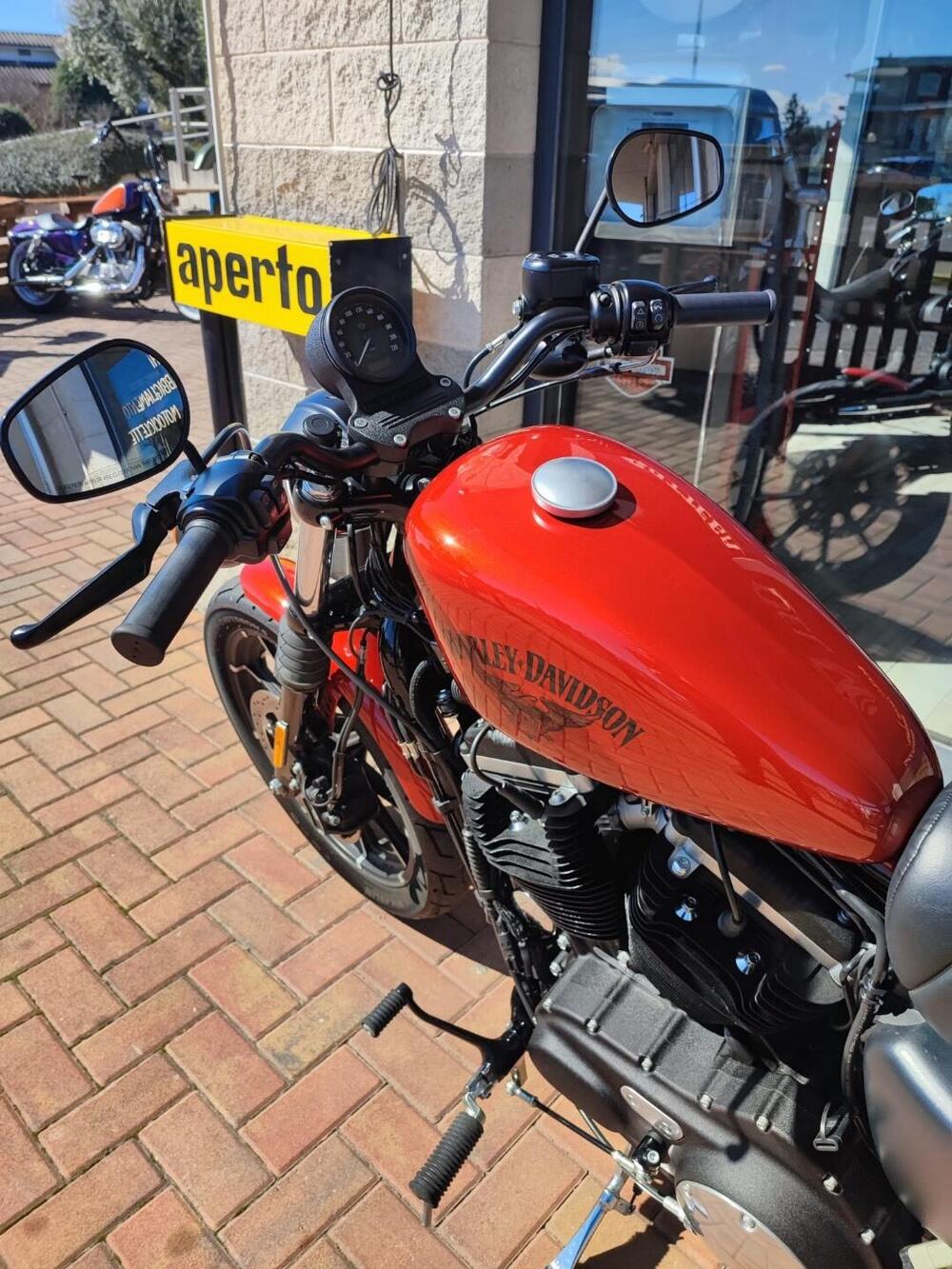 Harley-Davidson 883 Iron (2017 - 20) - XL 883N (8)