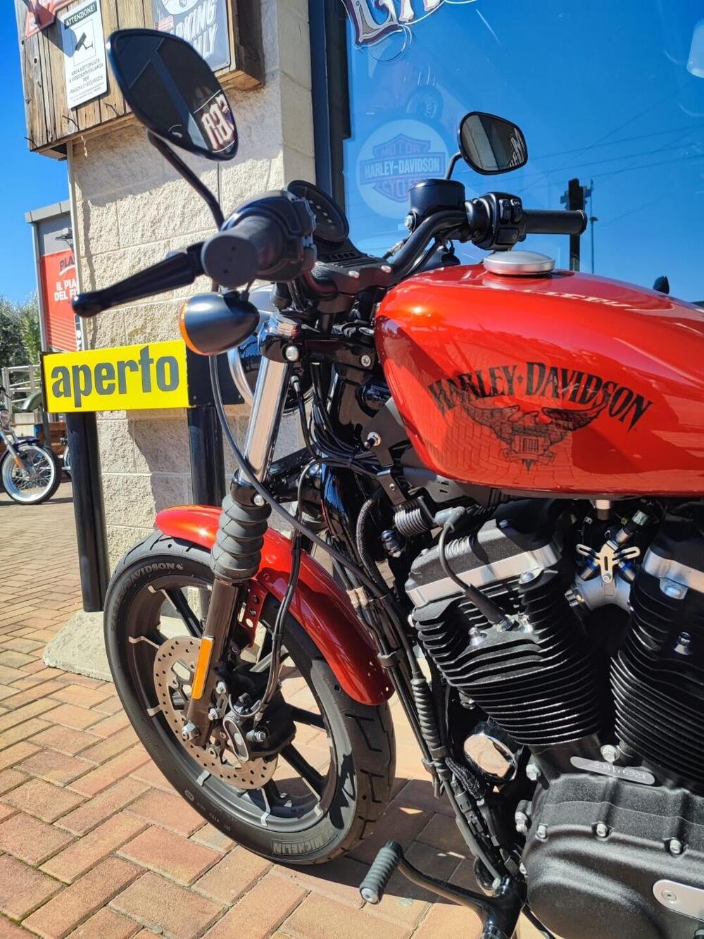 Harley-Davidson 883 Iron (2017 - 20) - XL 883N (10)