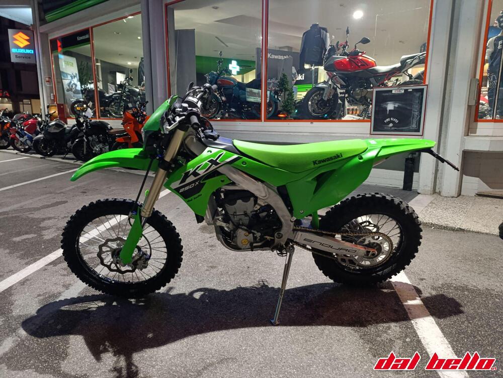 Kawasaki KX 250 X (2023 - 24) (2)