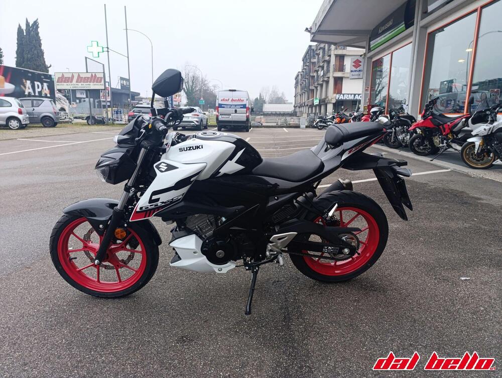 Suzuki GSX-S125 (2022 - 24) (3)