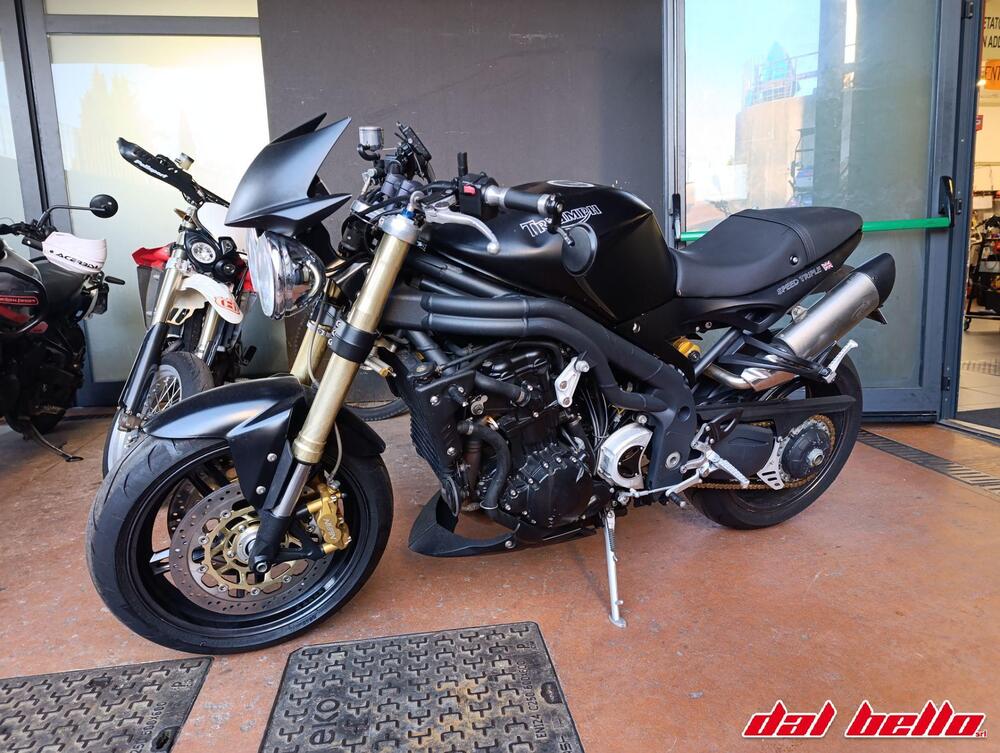 Triumph Speed Triple 1050 (2005 - 11) (3)