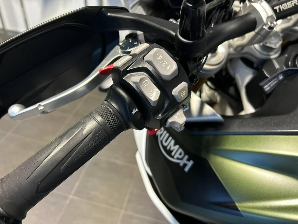 Triumph Tiger 900 Rally Pro (2020 - 23) (6)