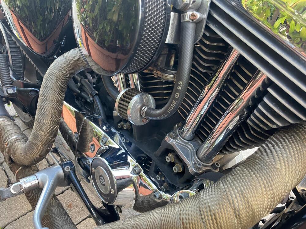 Harley-Davidson 1200 Custom (2004 - 06) - XL 1200C (11)