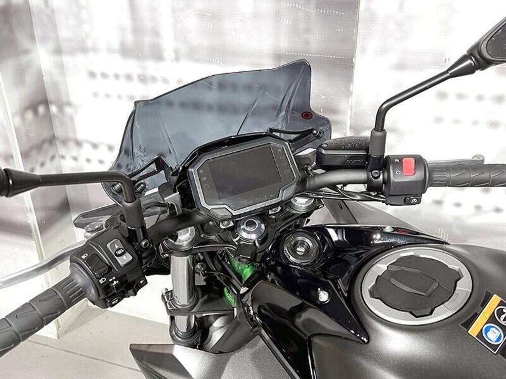 Kawasaki Z 650 (2021 - 24) (5)