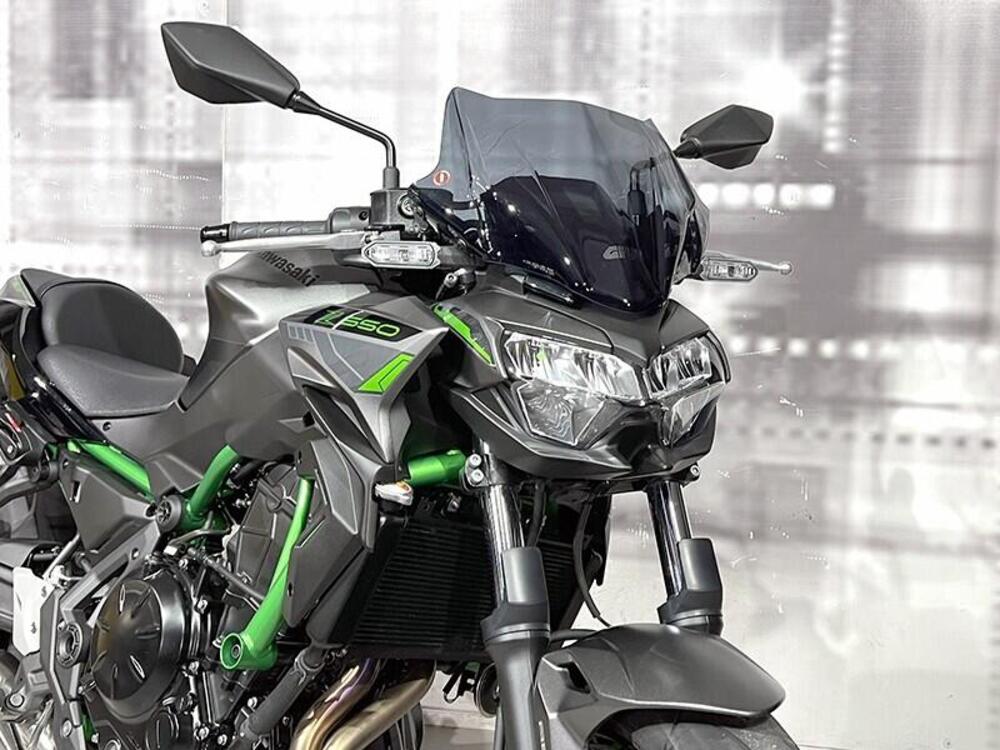 Kawasaki Z 650 (2021 - 24) (8)