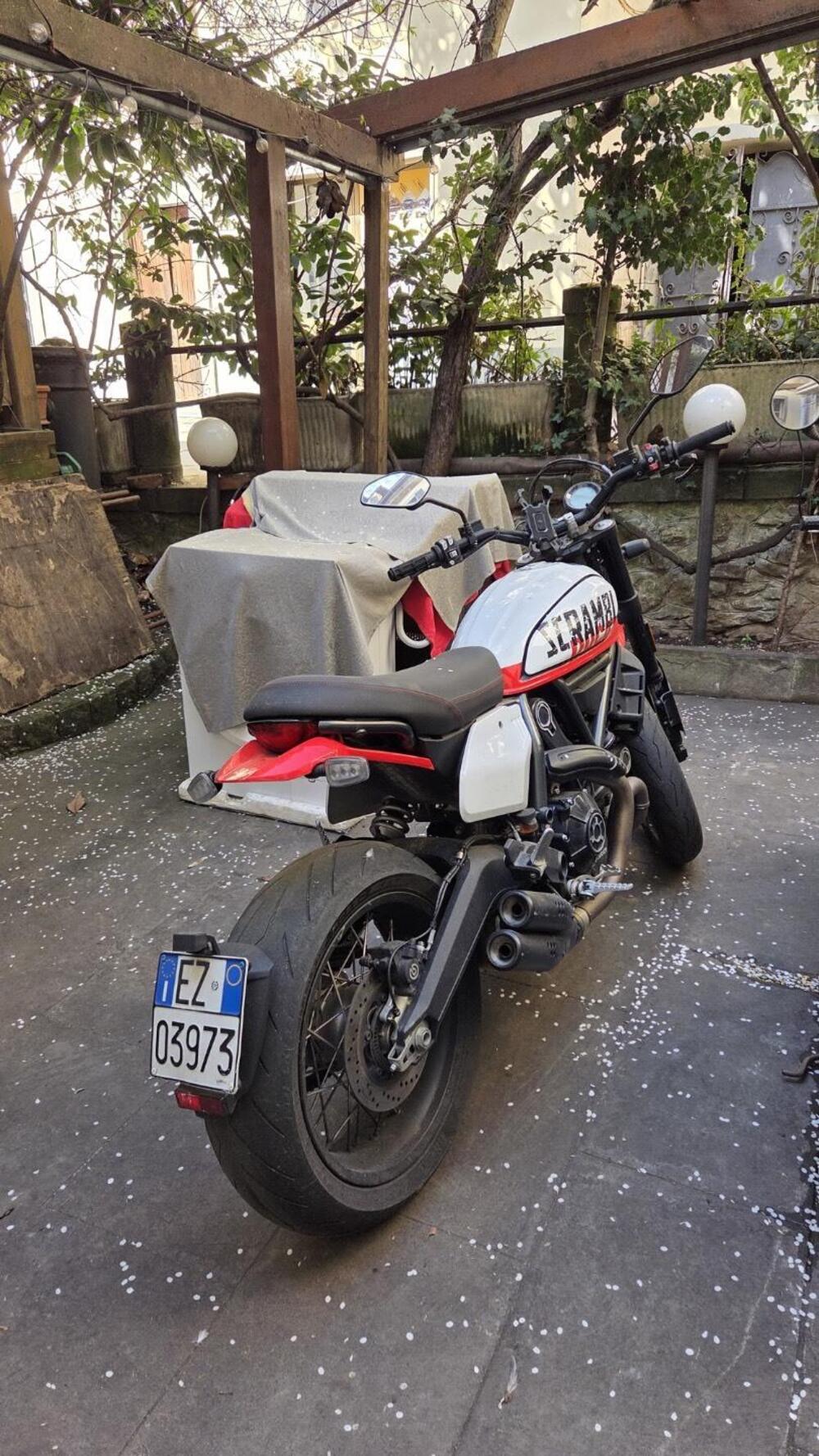 Ducati Scrambler 800 Desert Sled (2021 - 22) (9)