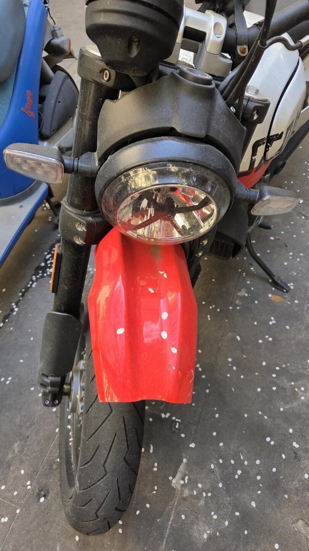 Ducati Scrambler 800 Desert Sled (2021 - 22) (10)