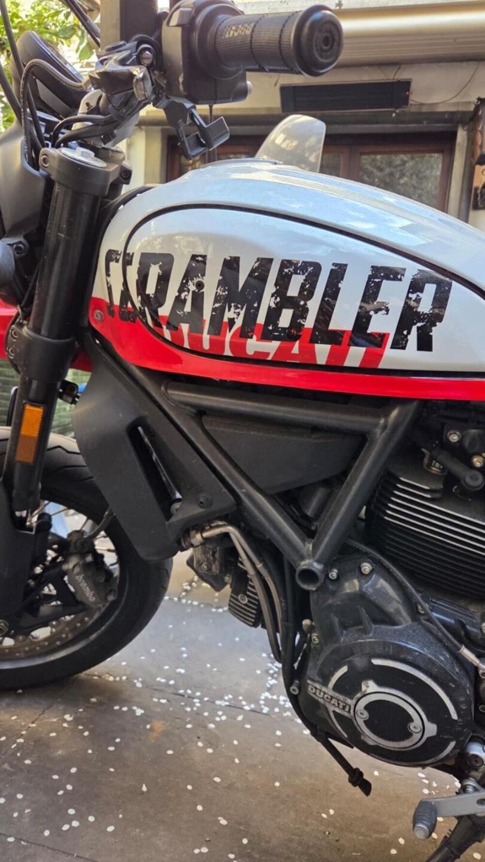 Ducati Scrambler 800 Desert Sled (2021 - 22) (16)