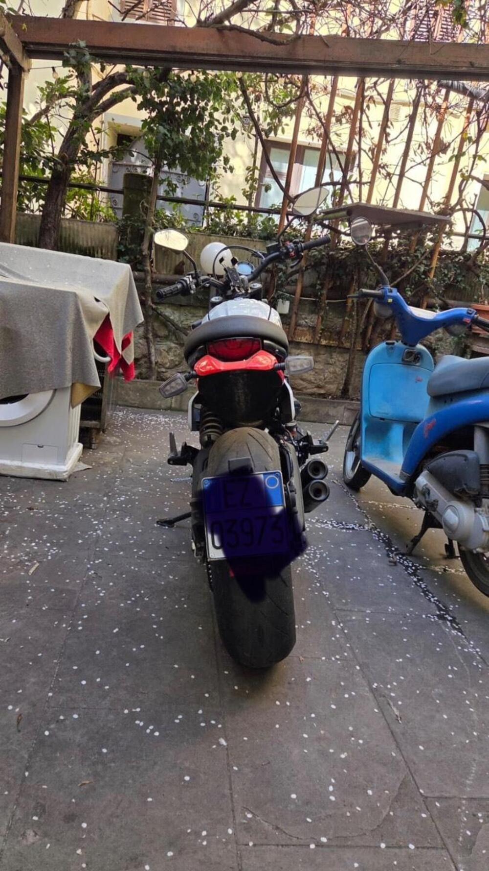 Ducati Scrambler 800 Desert Sled (2021 - 22) (17)