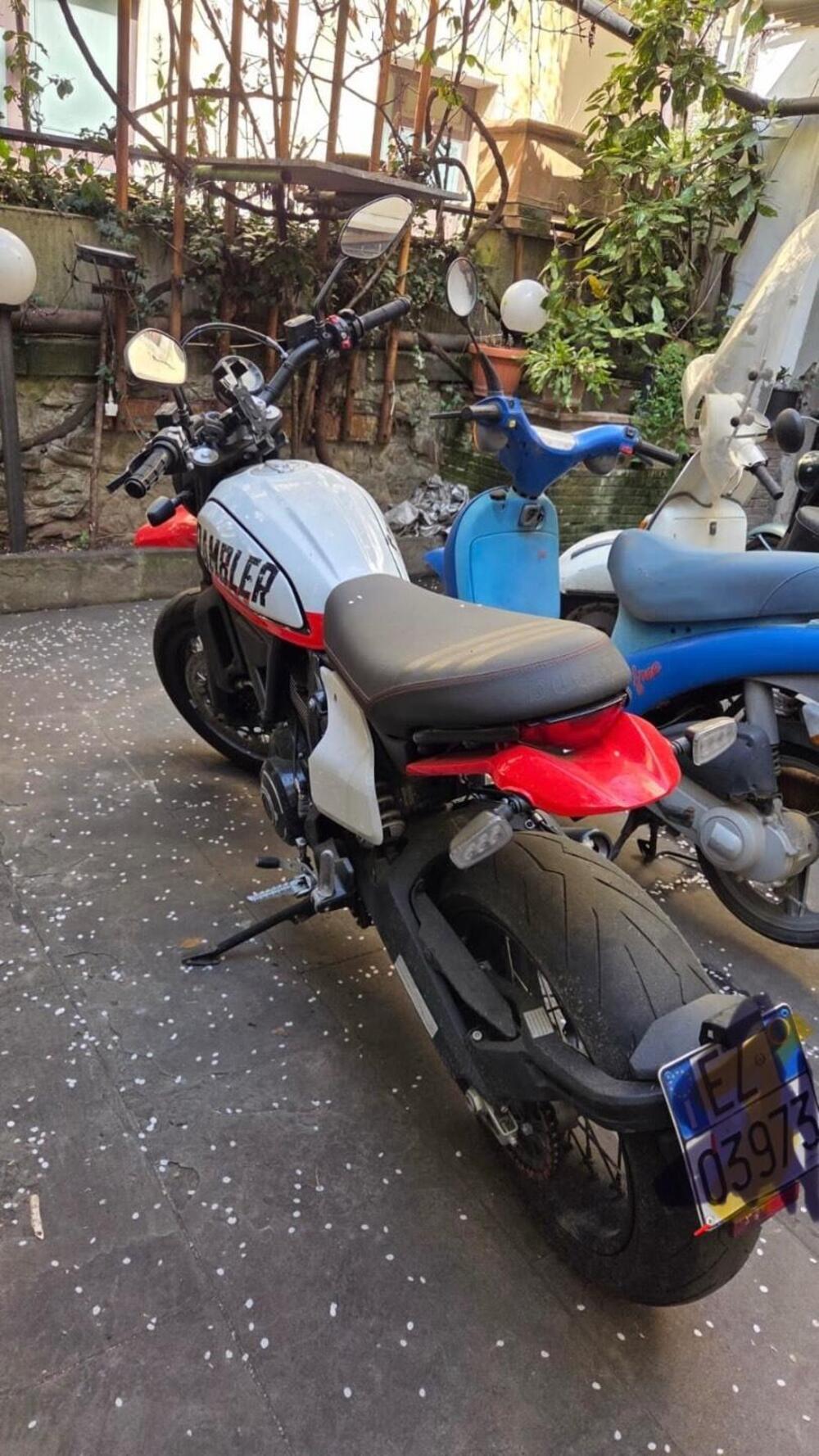 Ducati Scrambler 800 Desert Sled (2021 - 22) (18)