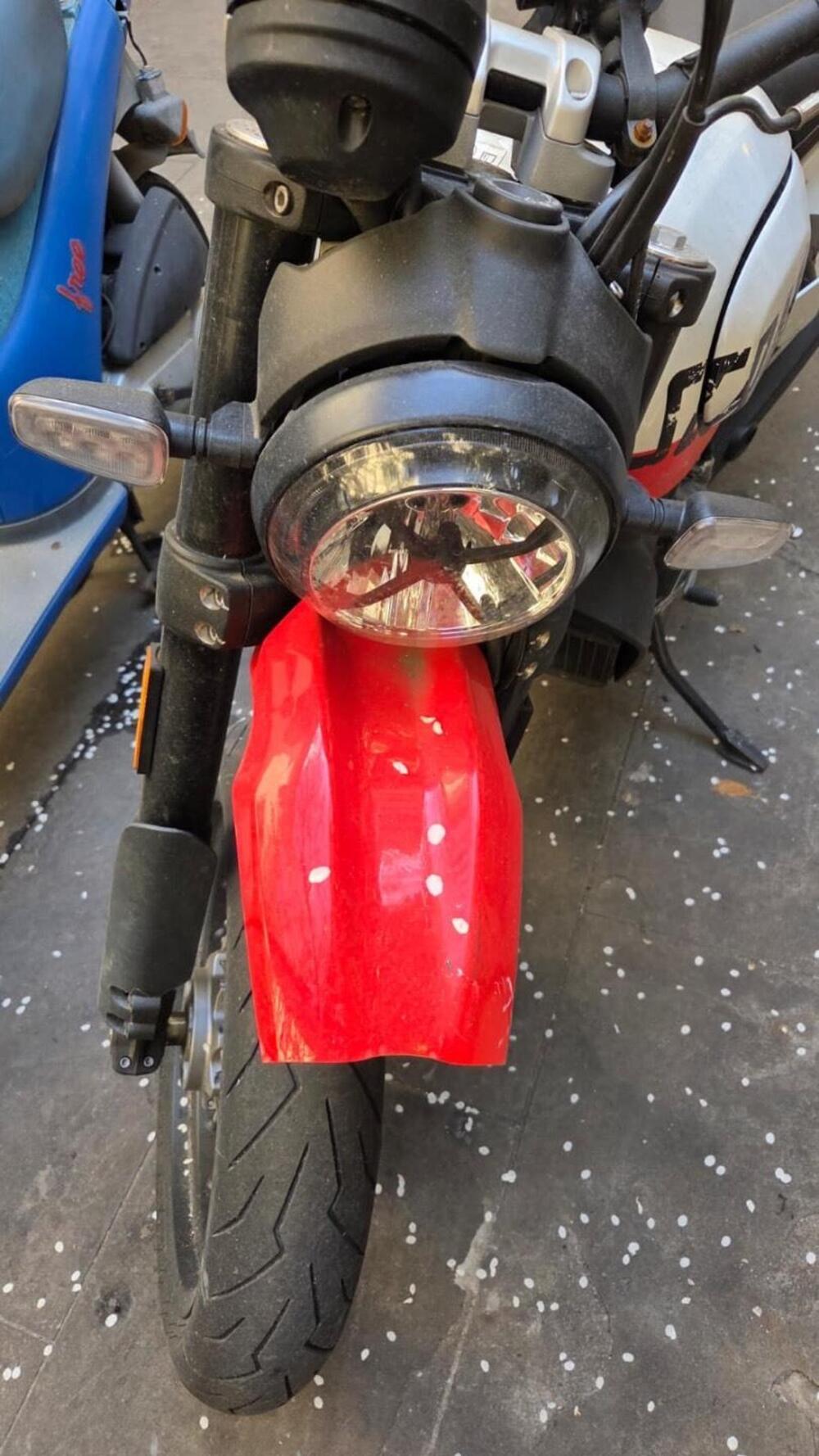 Ducati Scrambler 800 Desert Sled (2021 - 22) (20)