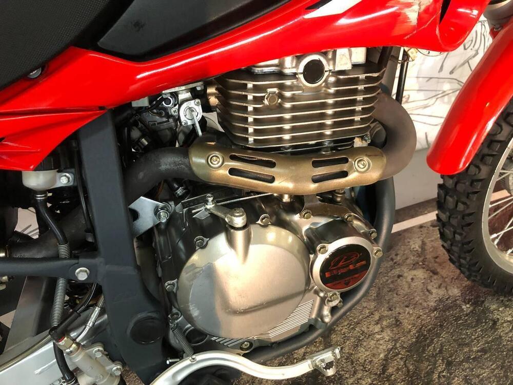 Betamotor Alp 4.0 (2006 - 08) (2)