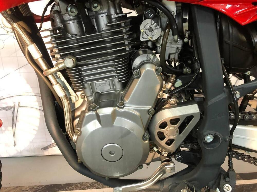 Betamotor Alp 4.0 (2006 - 08) (5)