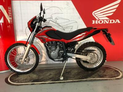 Betamotor Alp 4.0 (2006 - 08) usata