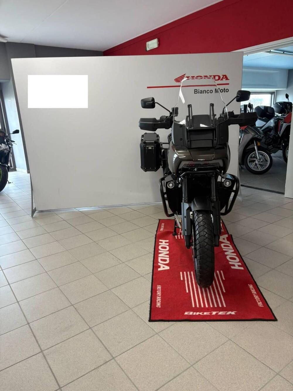 Harley-Davidson Pan America 1250 (2020 - 25) (5)