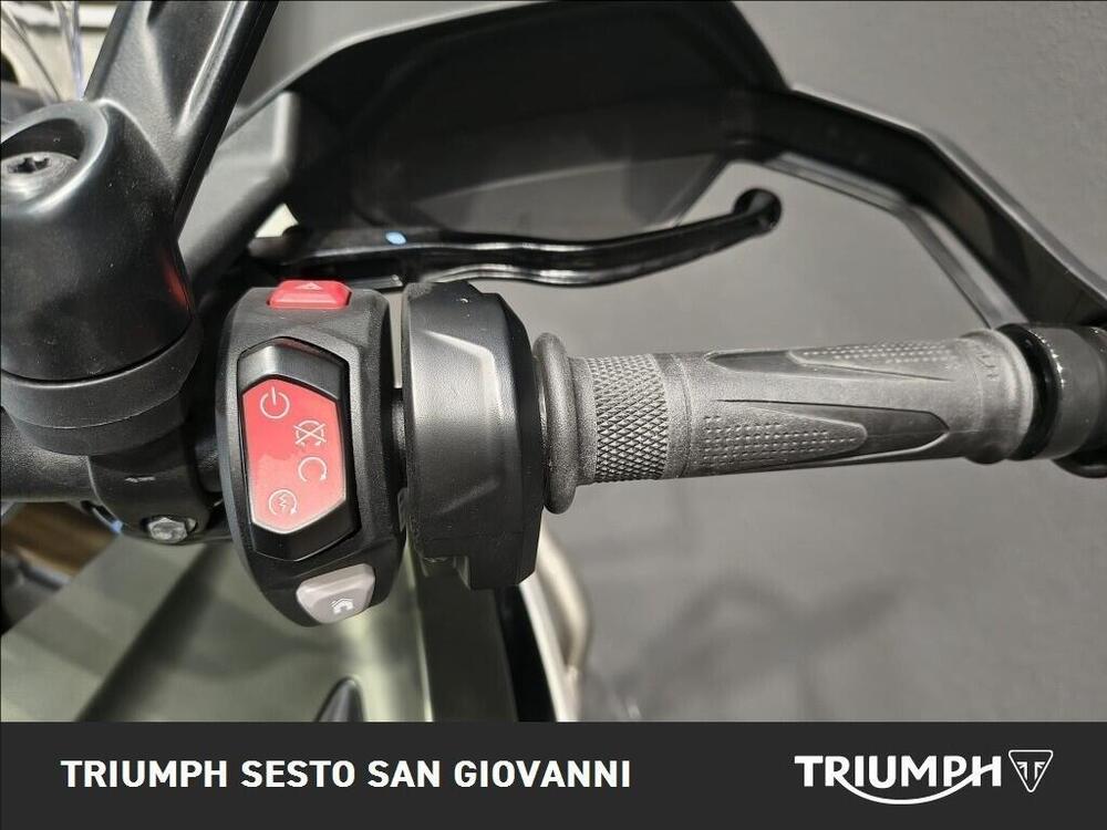 Triumph Tiger 1200 Rally Explorer (2022 - 23) (6)