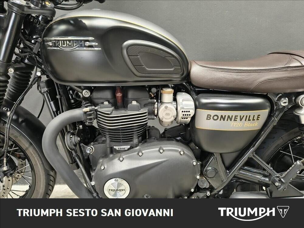 Triumph Bonneville T120 Gold Line Edition (2022 - 23) (5)