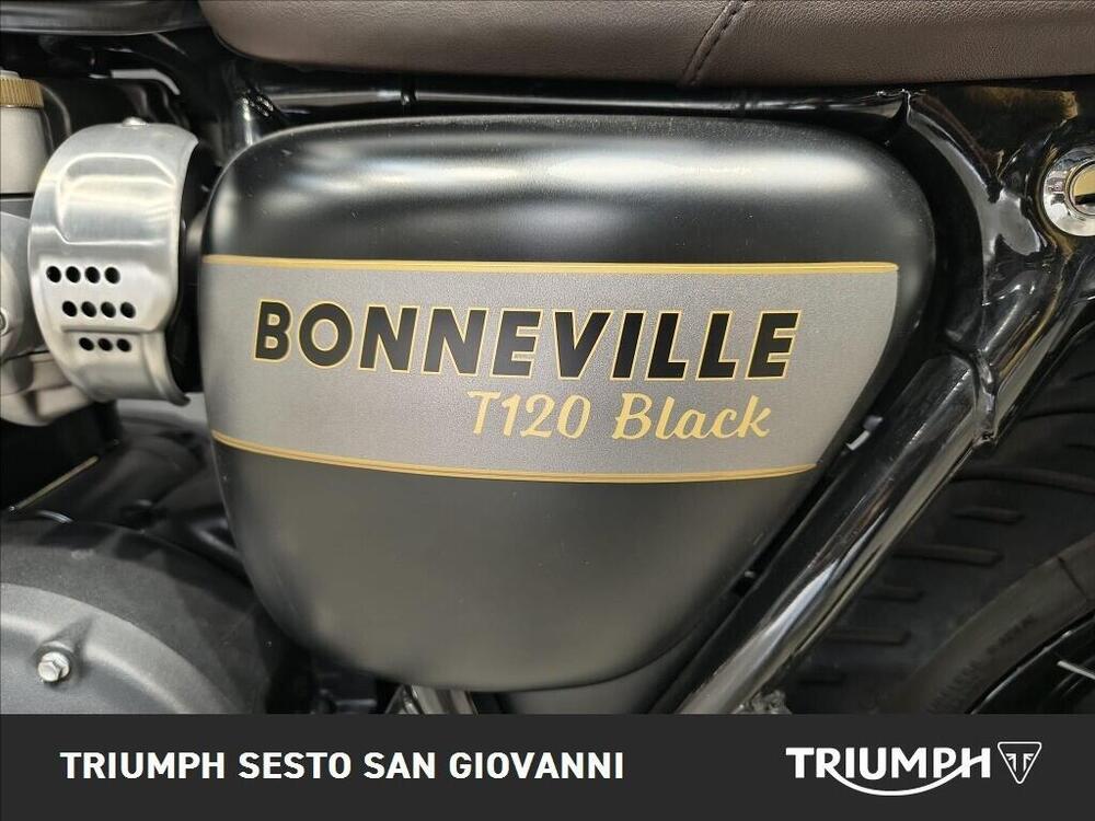 Triumph Bonneville T120 Gold Line Edition (2022 - 23) (6)