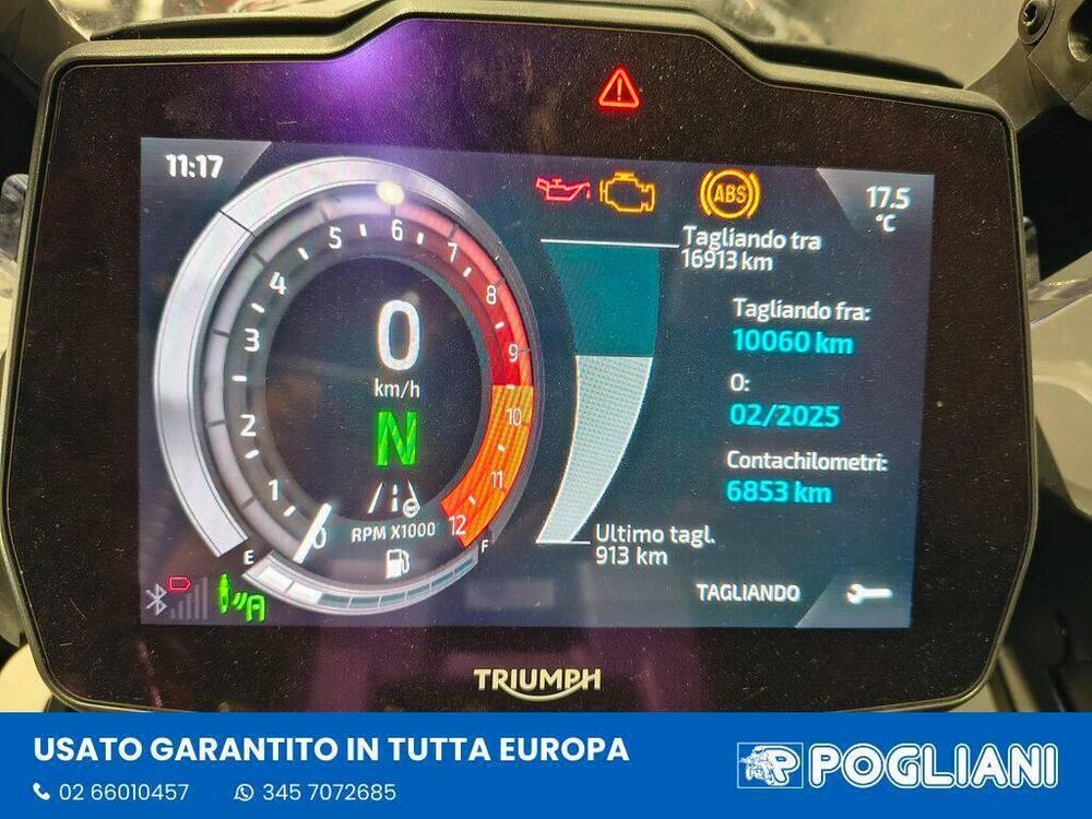 Triumph Tiger 1200 Rally Explorer (2022 - 23) (9)