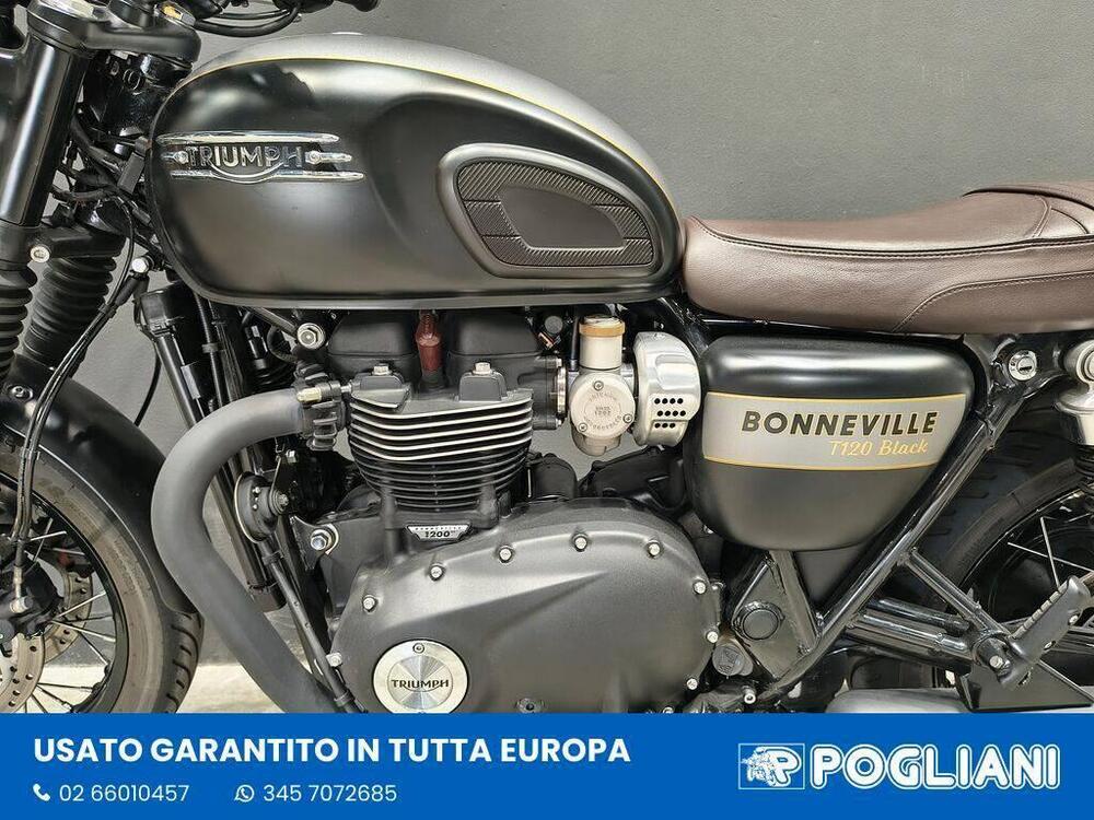 Triumph Bonneville T120 Gold Line Edition (2022 - 23) (5)