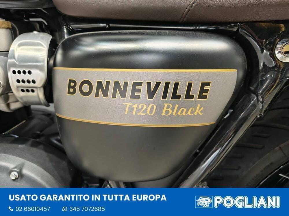 Triumph Bonneville T120 Gold Line Edition (2022 - 23) (6)