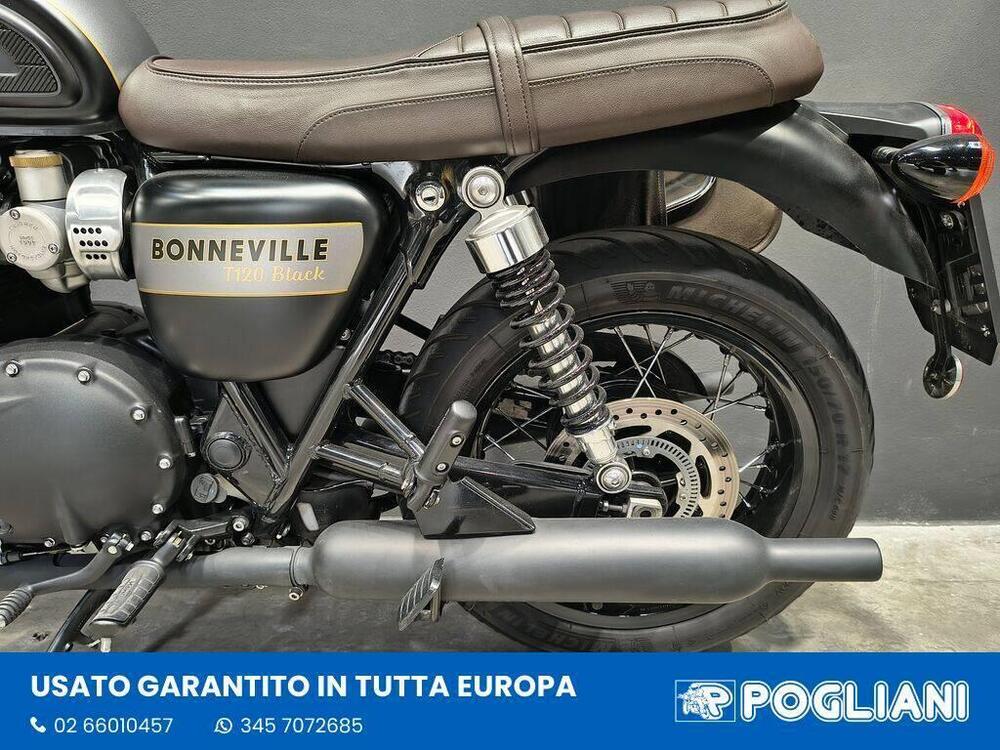 Triumph Bonneville T120 Gold Line Edition (2022 - 23) (7)