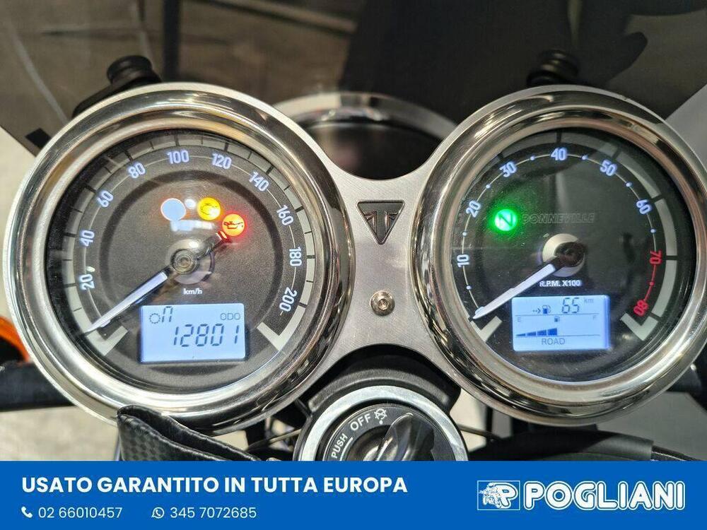 Triumph Bonneville T120 Gold Line Edition (2022 - 23) (8)