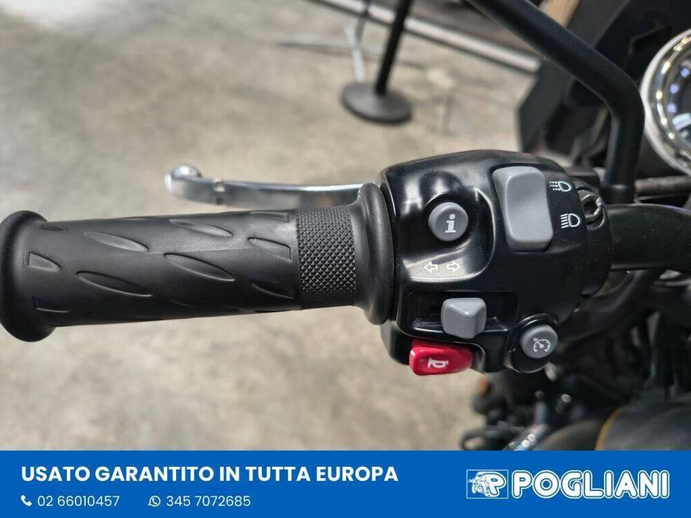 Triumph Bonneville T120 Gold Line Edition (2022 - 23) (9)