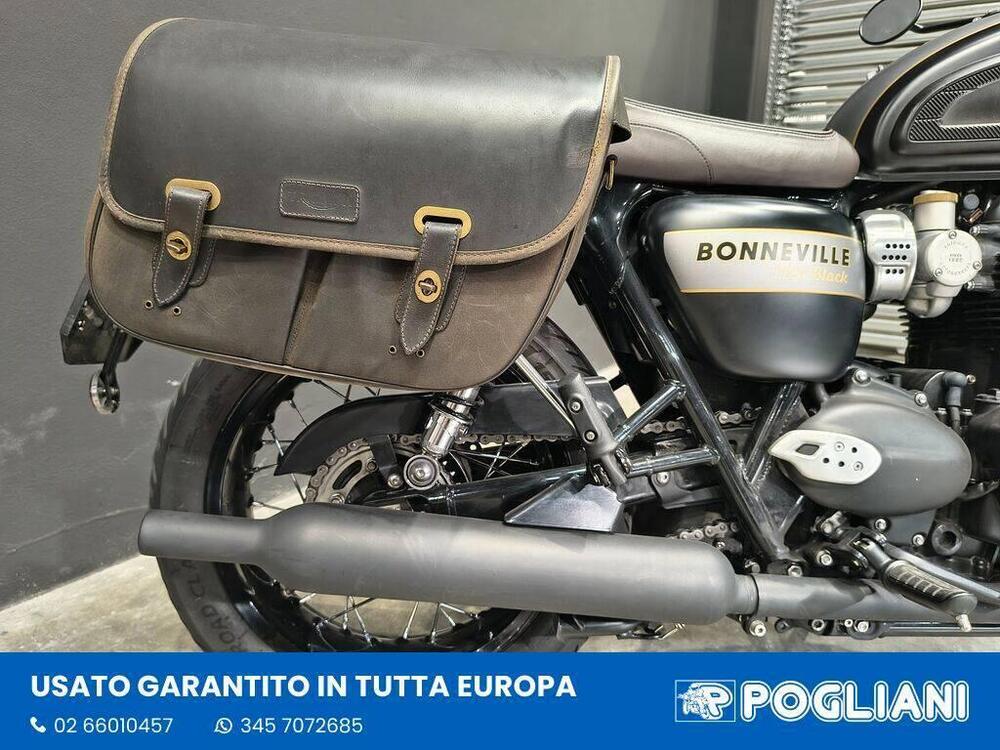Triumph Bonneville T120 Gold Line Edition (2022 - 23) (11)