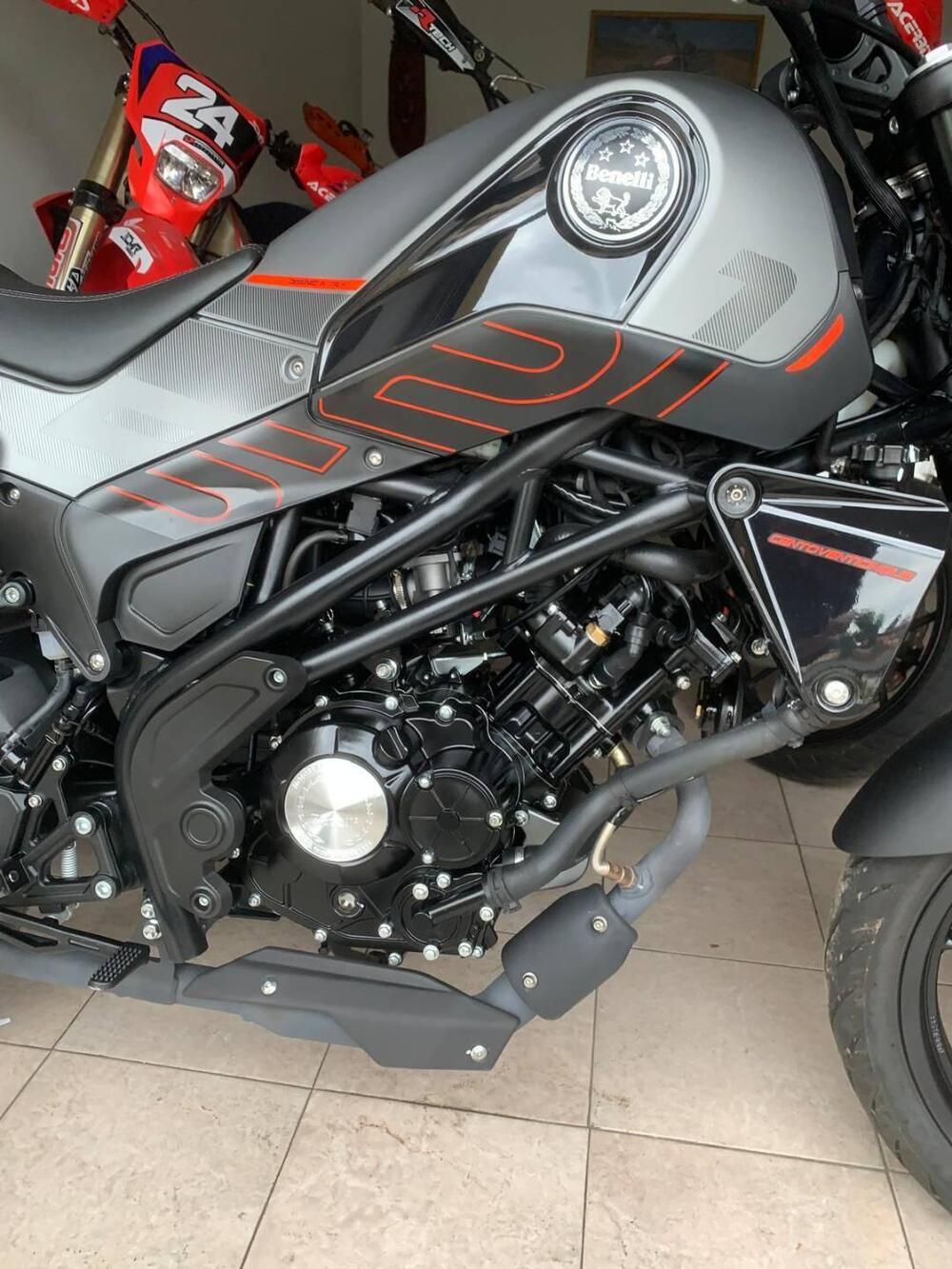 Benelli Leoncino 125 (2022 - 25) (3)