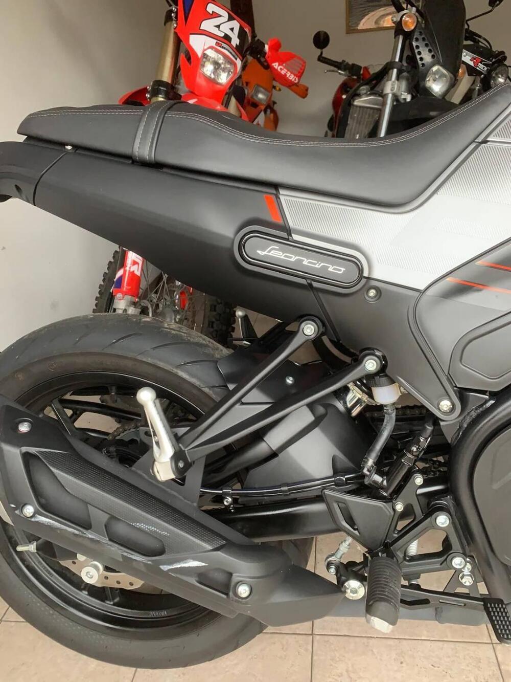 Benelli Leoncino 125 (2022 - 25) (4)