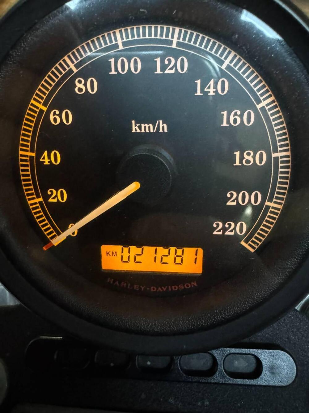 Harley-Davidson 883 Custom (2008 - 12) - XL 883C (5)