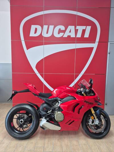 Ducati Panigale V4 S (2022 - 24) usata