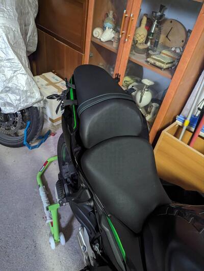 Kawasaki Z 650 (2021 - 24) usata