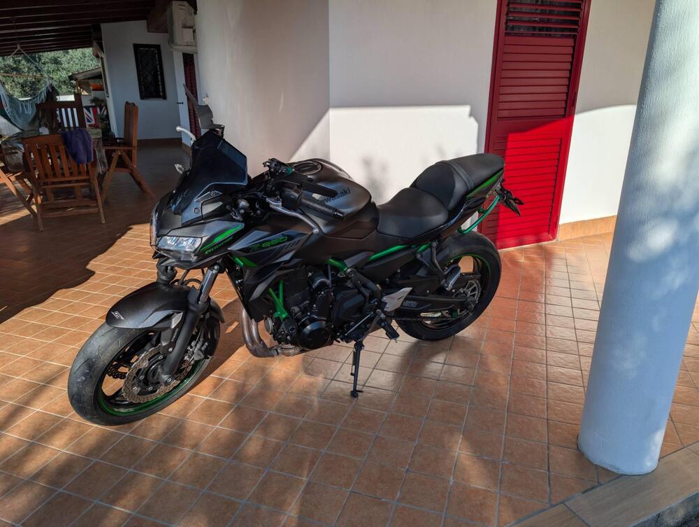 Kawasaki Z 650 (2021 - 24) (6)
