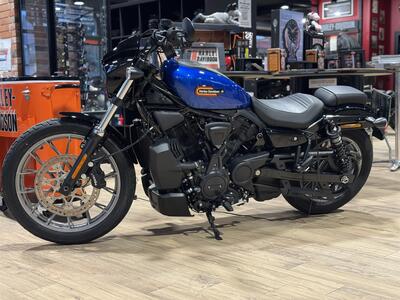 Harley-Davidson Nightster Special (2023 - 26) usata