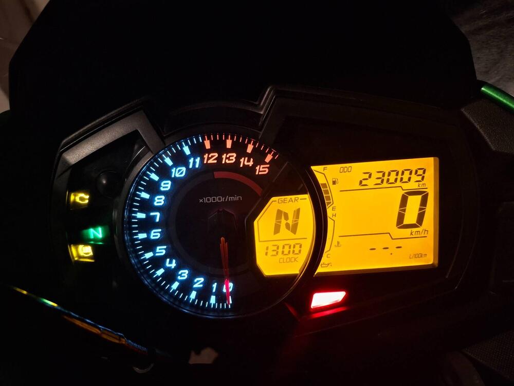 Kawasaki Versys-X 300 (2017 - 20) (7)