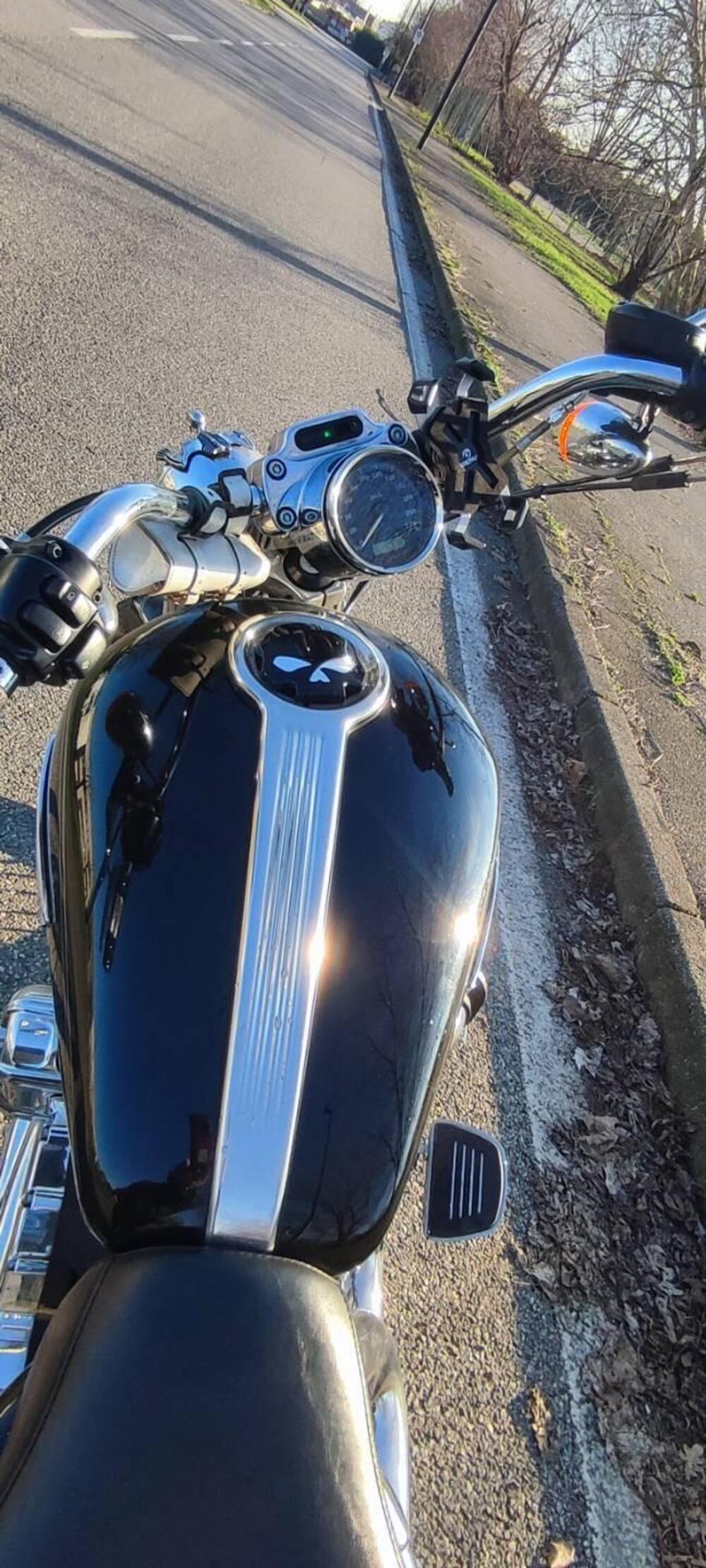 Harley-Davidson 1200 Custom (2007 - 13) - XL 1200C (5)