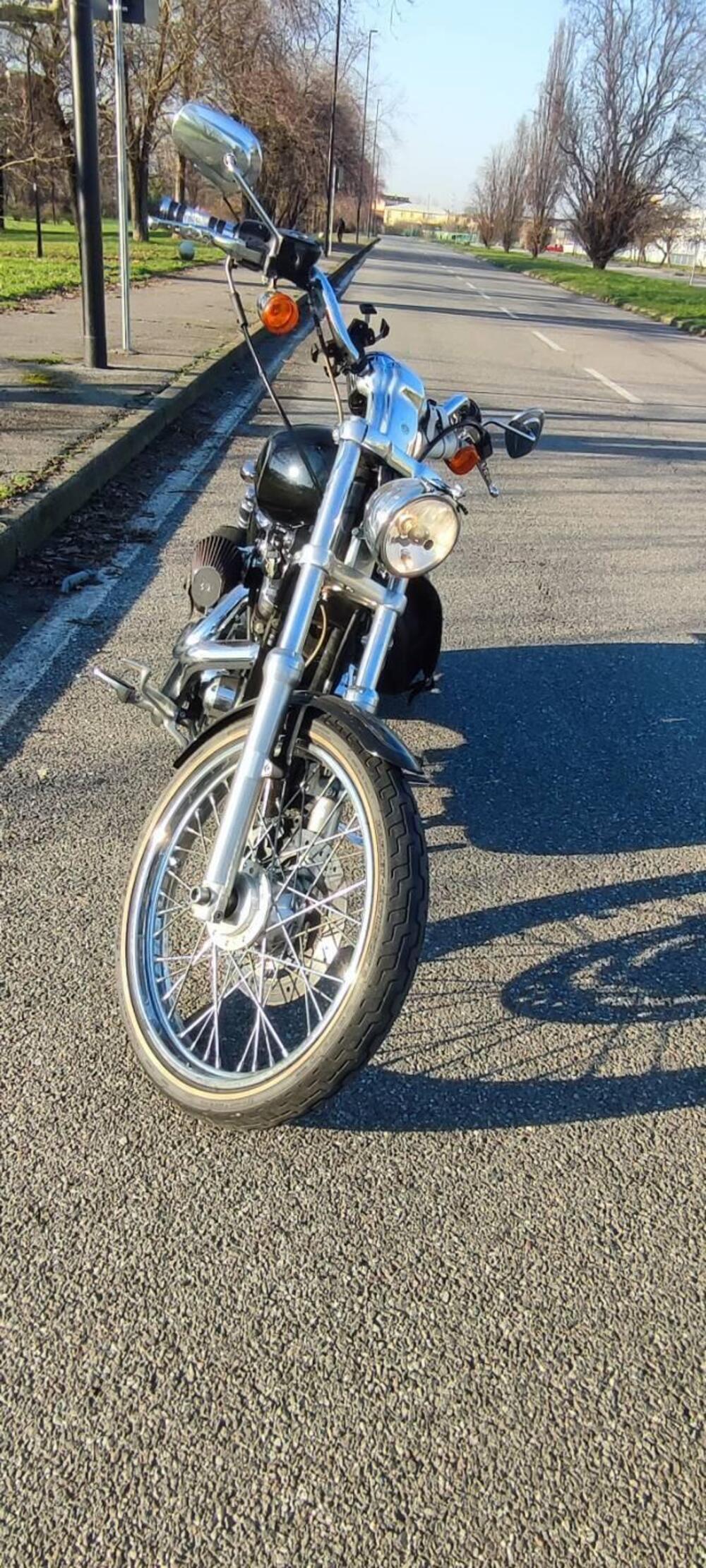 Harley-Davidson 1200 Custom (2007 - 13) - XL 1200C (9)