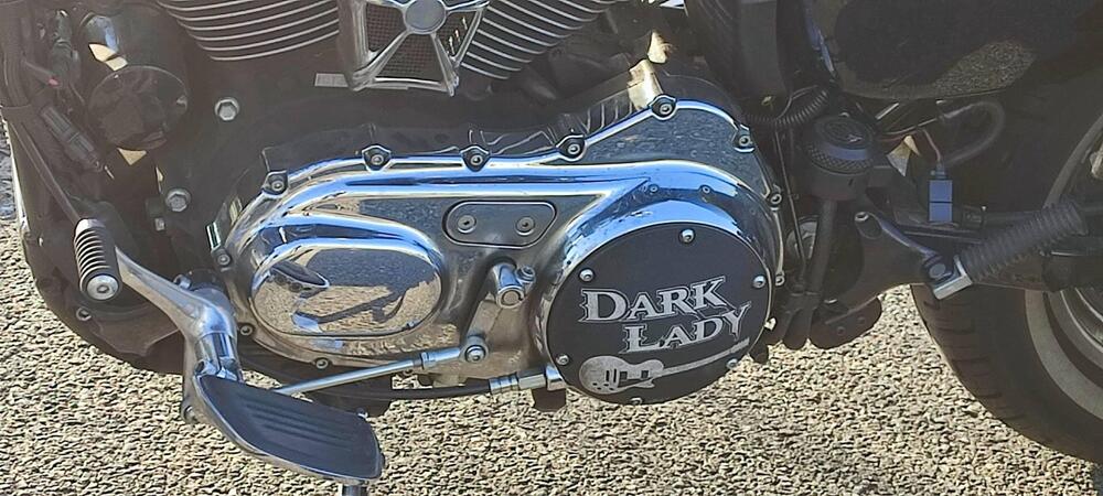 Harley-Davidson 1200 Custom (2007 - 13) - XL 1200C (2)