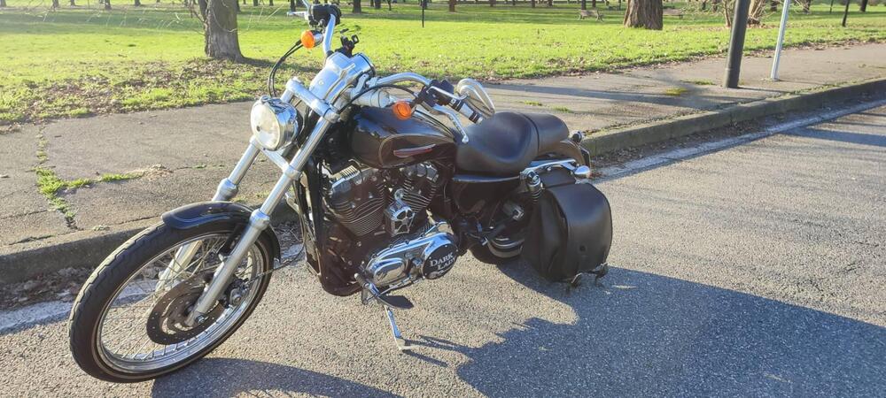 Harley-Davidson 1200 Custom (2007 - 13) - XL 1200C (3)