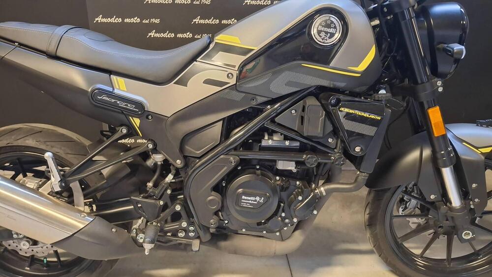 Benelli Leoncino 250 (2021 - 25) (4)