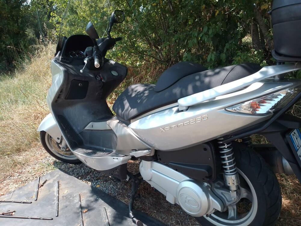 Kymco Xciting 250 (2005 - 06) (2)